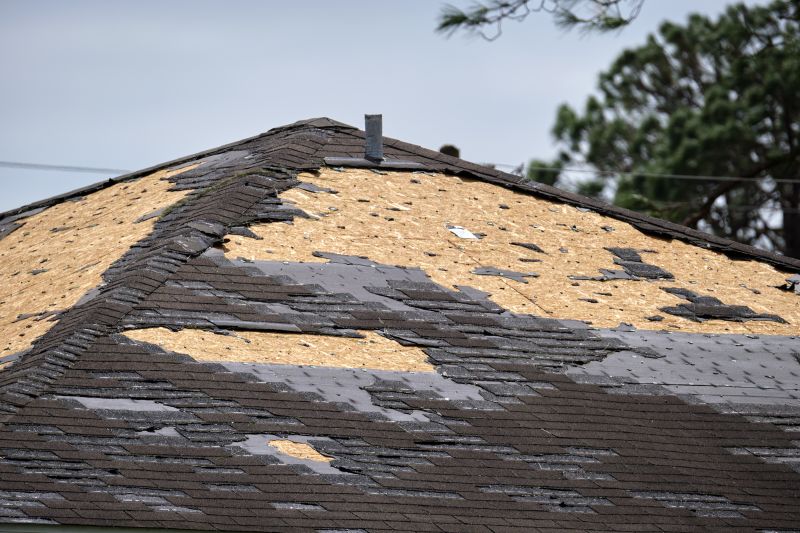 Broken Shingle Repair