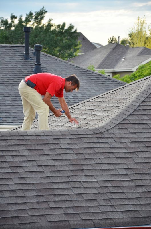 Specialists in Roof Repairs